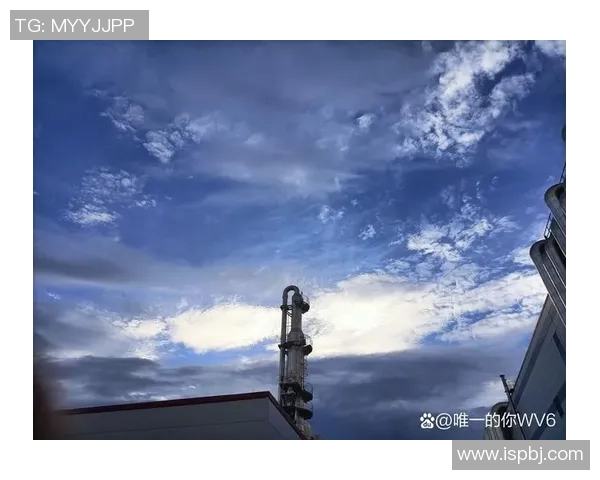 终场哨声响起时刻，时间统一宣告结果，情感尽情释放的瞬间